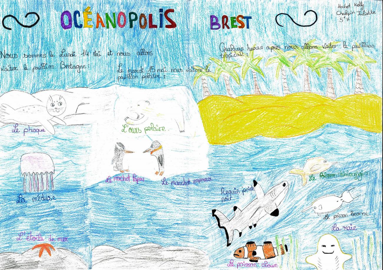 oceanopolis-3